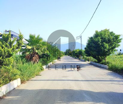 فروش زمین شهرکی برند در رویان سیاهرود