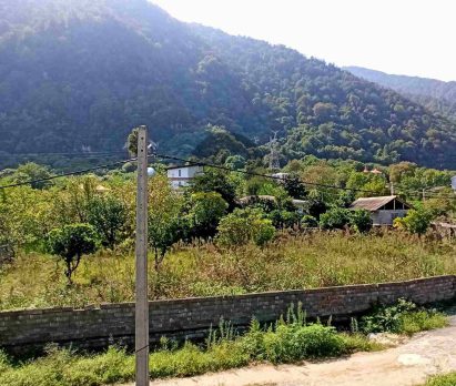 خرید زمین جنگلی در چلک نوشهر