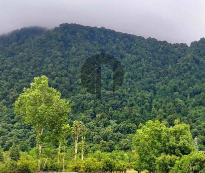 فروش زمین با جواز ساخت در نوشهر چلک