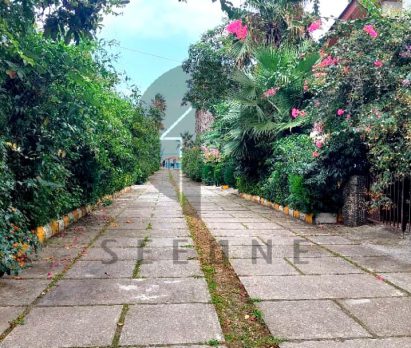 فروش زمین ساحلی بقیمت در نوشهر چلک