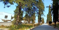 فروش زمین ساحلی شهرکی در نوشهر چلک