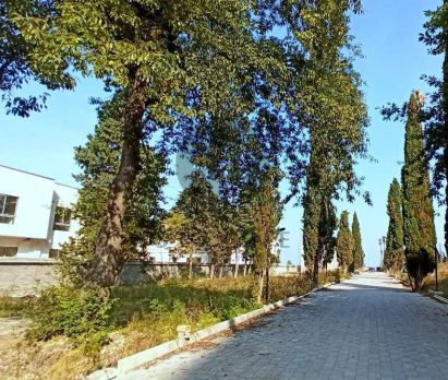 فروش زمین ساحلی شهرکی در نوشهر چلک