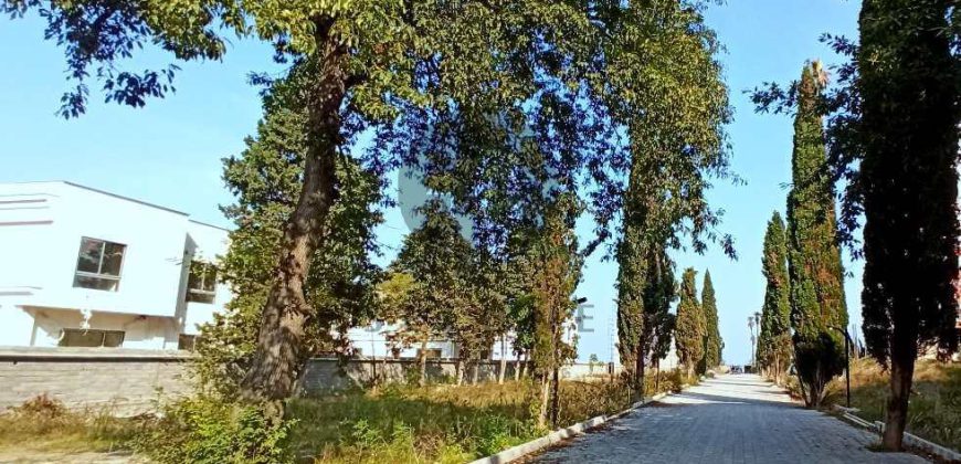 فروش زمین ساحلی شهرکی در نوشهر چلک