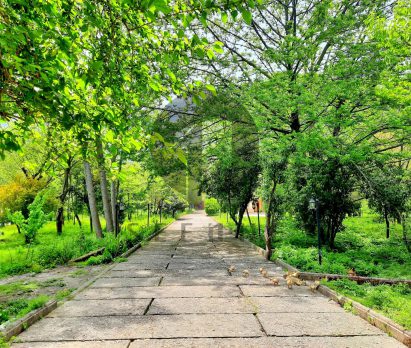 خرید زمین شهرکی ارزان در چلک نوشهر