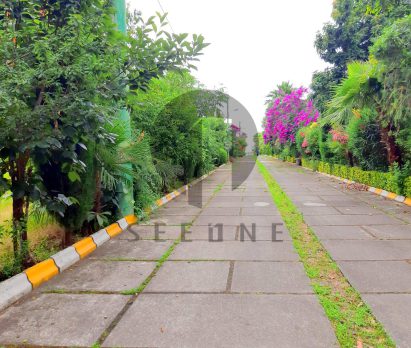 فروش شهرک ساحلی یکجا در چلک