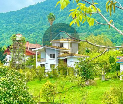 خرید زمین ارزان شهرکی سنددار امیررود