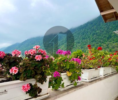 خرید ویلا باغ بقیمت استخردار در نوشهر