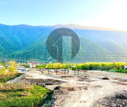 فروش زمین قواره بزرگ در چلک نوشهر