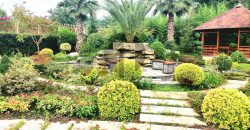 فروش باغ ویلا لاکچری در شمال رویان