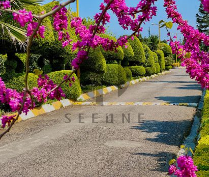 خرید ویلا دوبلکس شهرکی در نوشهر