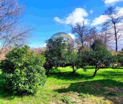 فروش زمین شهرکی در نوشهر رویان ونوش