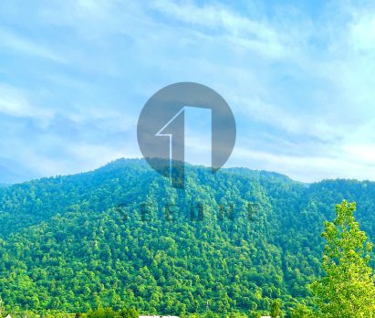 فروش زمین به قیمت سند دار در ونوش