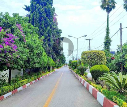 فروش زمین ساحلی در شهرک برند رویان