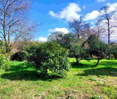 خرید زمین در شمال املاک سیوان