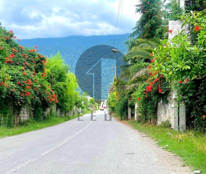 فروش زمین با مدارک کامل شهرکی در چلندر