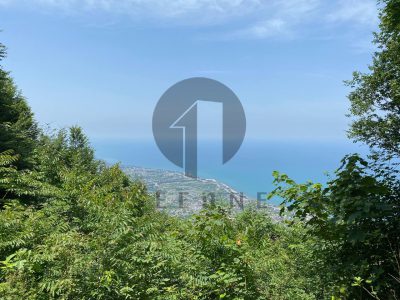 بهترین سرمایه گذاری با پول کم در نوشهر