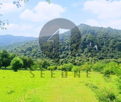 خرید زمین با دید عالی دریا در چلک نوشهر