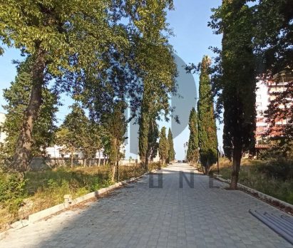 خرید زمین ساحلی شهرکی چلک