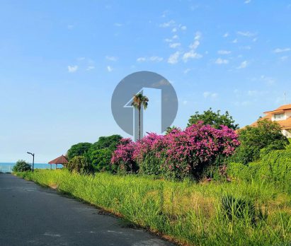 فروش زمین ساحلی در نوشهر دهکده سبز