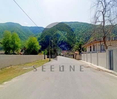 خرید زمین جنگلی سند دار نوشهر چلندر
