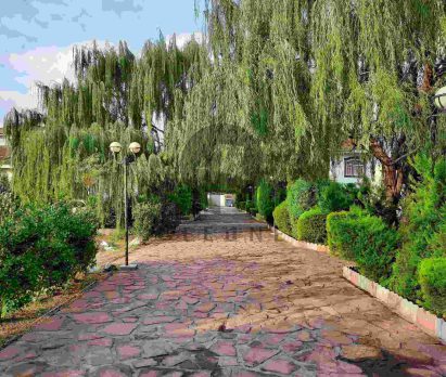 خرید زمین شهرکی در سیسنگان نوشهر
