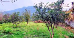 زمین خیرود کنار پلاک اول جنگل مناسب کلبه سوئیسی