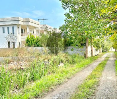خرید زمین ارزان در روستاهای شمال مازندران