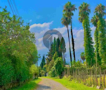 خرید خانه ویلایی در نوشهر خیابان افشین