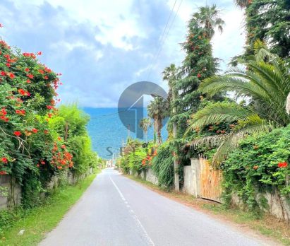 خرید زمین در نوشهر و چالوس