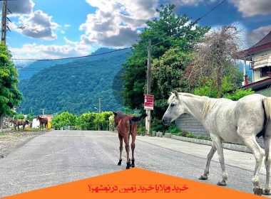 خرید ویلا یا خرید زمین در نوشهر