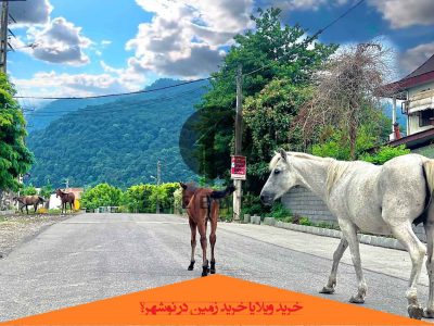خرید ویلا یا خرید زمین در نوشهر؟ 5 نکته کلیدی مهم!