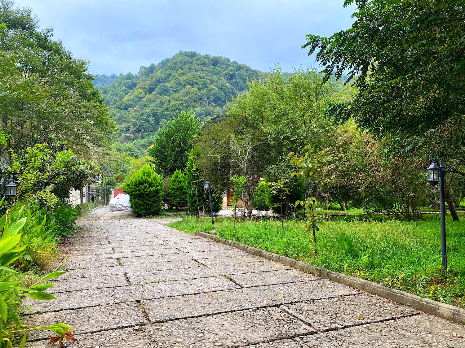 خرید زمین با کاربری جنگل جلگه ای 