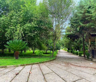 فروش زمین بقیمت شهرکی در شمال نوشهر
