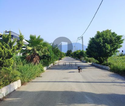 خرید زمین برای ساخت ویلا در رویان