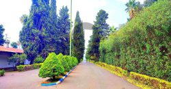 باغ ویلا در رویان شهرک برند فردوس