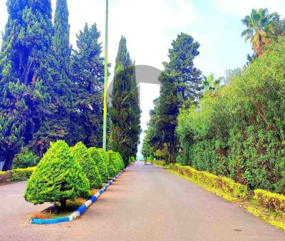باغ ویلا در رویان شهرک برند فردوس