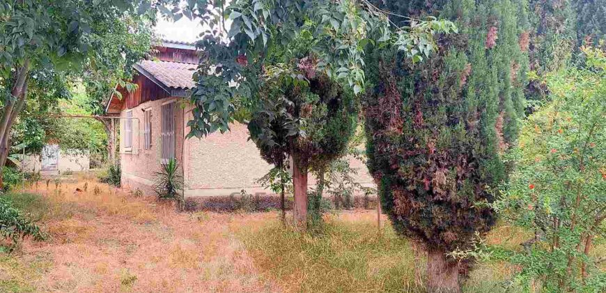 خرید باغ ویلا شهرکی ساحلی در نوشهر