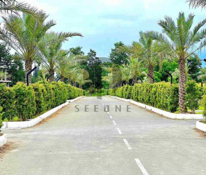 خرید زمین خیرود نوشهر جنگلی