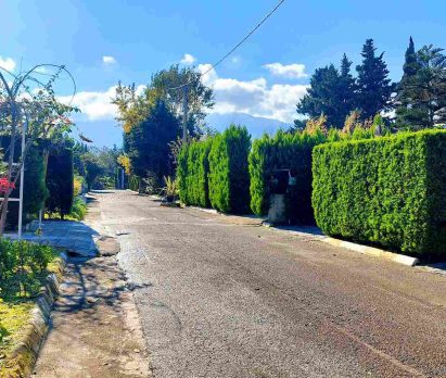 خرید و فروش زمین در منطقه دریابیشه