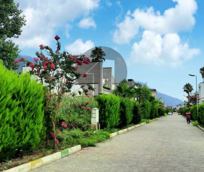 زمین شهرکی برند در نوشهر ریاست جمهوری