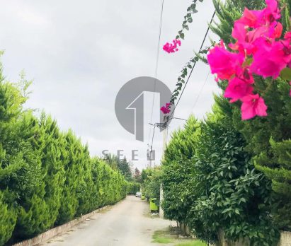 خرید زمین داخل بافت در شمال نوشهر