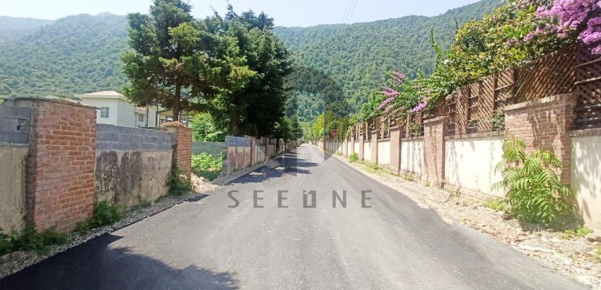 خرید زمین شهرکی پلاک اول جنگل چلک