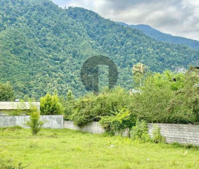 خرید زمین خوش قواره در نوشهر چلندر
