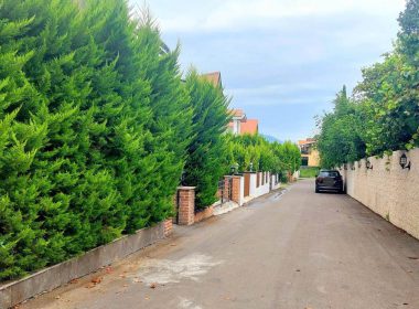 فروش زمین شهرکی در نخ شمال نوشهر