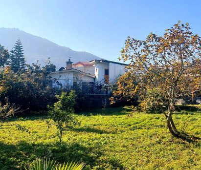 خرید زمین مناسب شهرک سازی در مزگاه