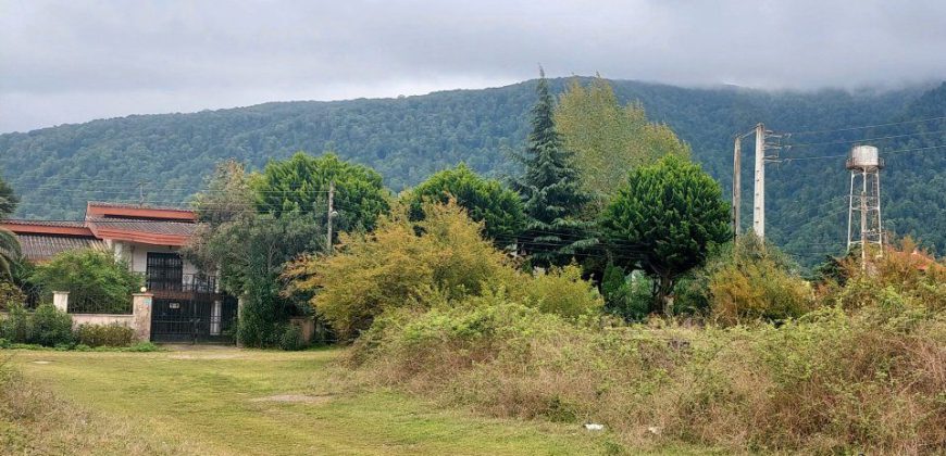 خرید زمین مسکونی قابل تفکیک در نخ شمال