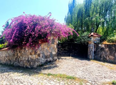 خرید باغ ویلا کلنگی زیر قیمت در رویان