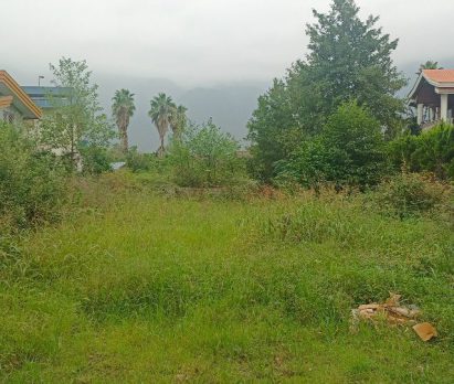 فروش زمین جنگلی ارزان در نوشهر