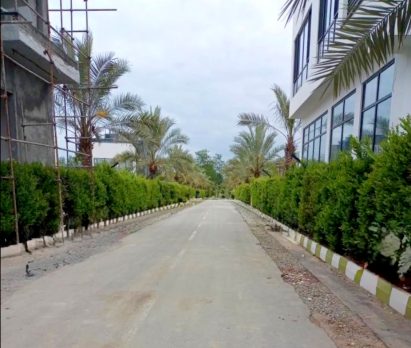 فروش زمین سنددار در شهرک برند امیررود