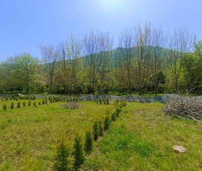 خرید زمین بافت مسکونی در لتینگان